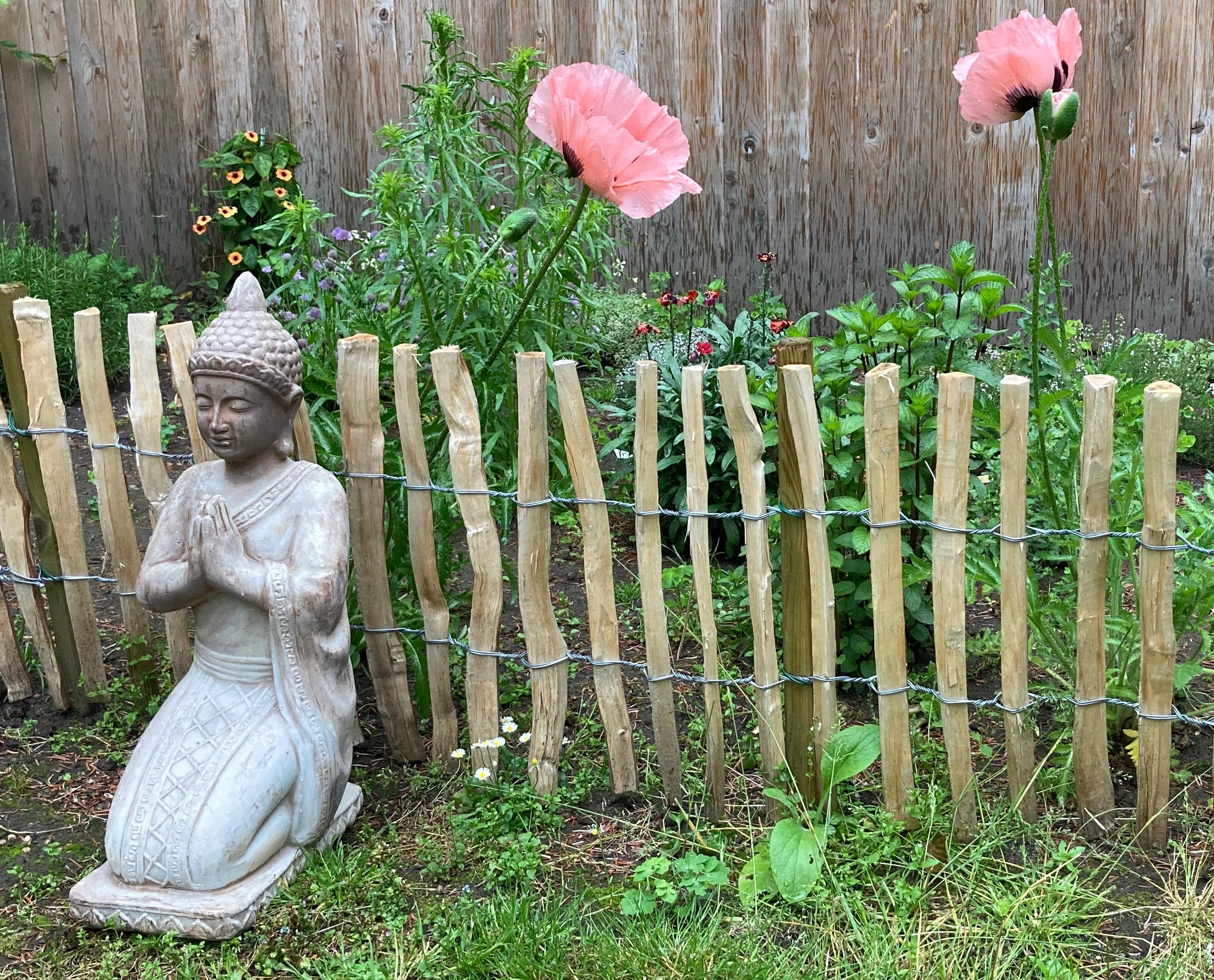 Budda vor Blumen im Garten